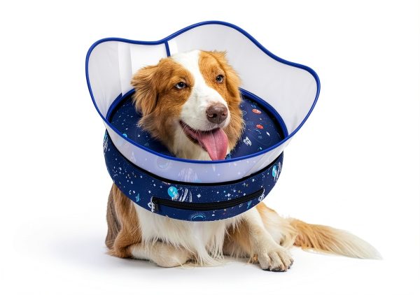 Dog Recovery Collar Toptakeit Inflatable Donut-1