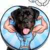 Kooltail Adjustable Dog Cone Collar-0