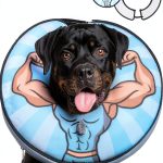 Kooltail Adjustable Dog Cone Collar-0