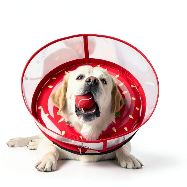 Mariyago Dog Recovery Collar Inflatable Pet Supplies-6