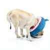 Pet Inflatable Neck Donut Collar by BEAUTYZOO-4