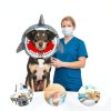 Kooltail Adjustable Dog Cone Collar-4