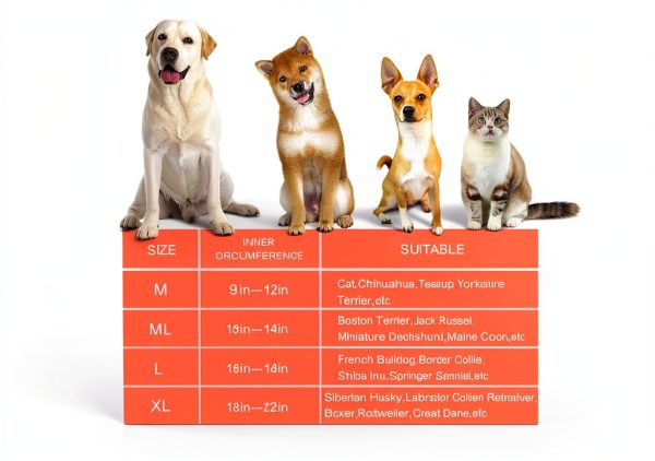 Dog Inflatable Collar Mariyago Wider Anti Lick Design-3