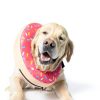 Inflatable Dog Cone Collar Supet Scratch Resistant Dog Recovery Collar-2