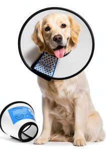 Dog Recovery Collar Supet Soft PVC Adjustable Cone Size-0