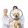 GLADOG Soft Transparent Recovery Cone Dog Collar – Adjustable-5