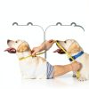 GLADOG Soft Transparent Recovery Cone Dog Collar – Adjustable-3
