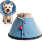 Agape Soft Dog Cone Collar for Small Dogs and Cats Reflective Design-0