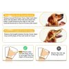 Vithael Dog Recovery Cone L Double‑Layer Soft Mesh Protective Collar-3