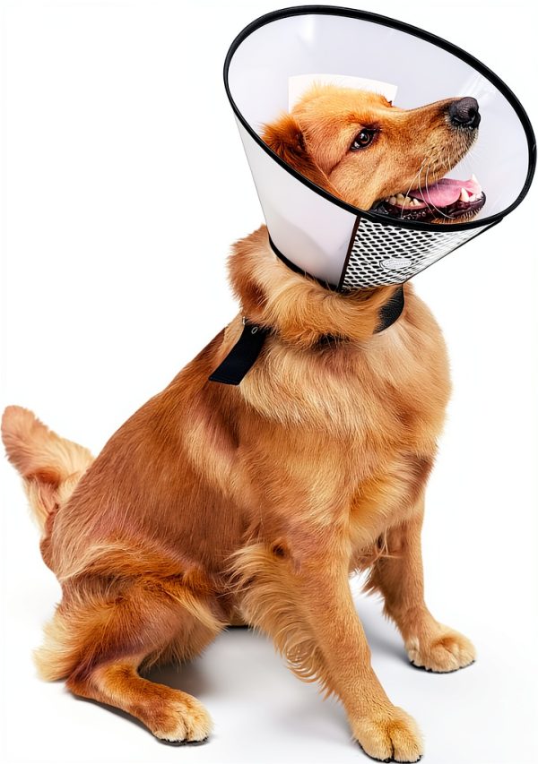 Pet Recovery Cone Qiyadin Translucent Soft Plastic Collar for Dogs-5