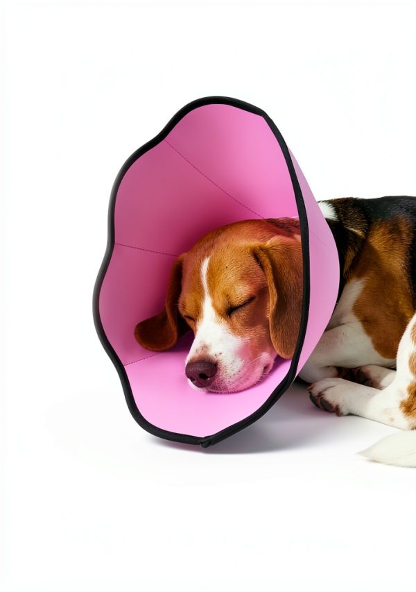 MIDOG Dog Recovery Cone Soft Lightweight Breathable Multiple Sizes-3