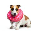 Inflatable Dog Cone Collar Supet Scratch Resistant Dog Recovery Collar-1