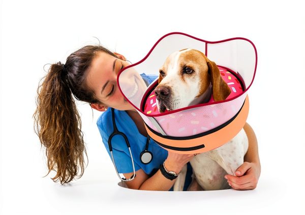 Supet Inflatable Dog Donut Collar 17 DonutPink L Detachable Shield-1